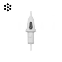 Box of 10 Cheyenne Hawk Craft Shader Cartridges