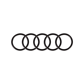 Pack of 5 O-Rings for Cheyenne Thunder and Spirit